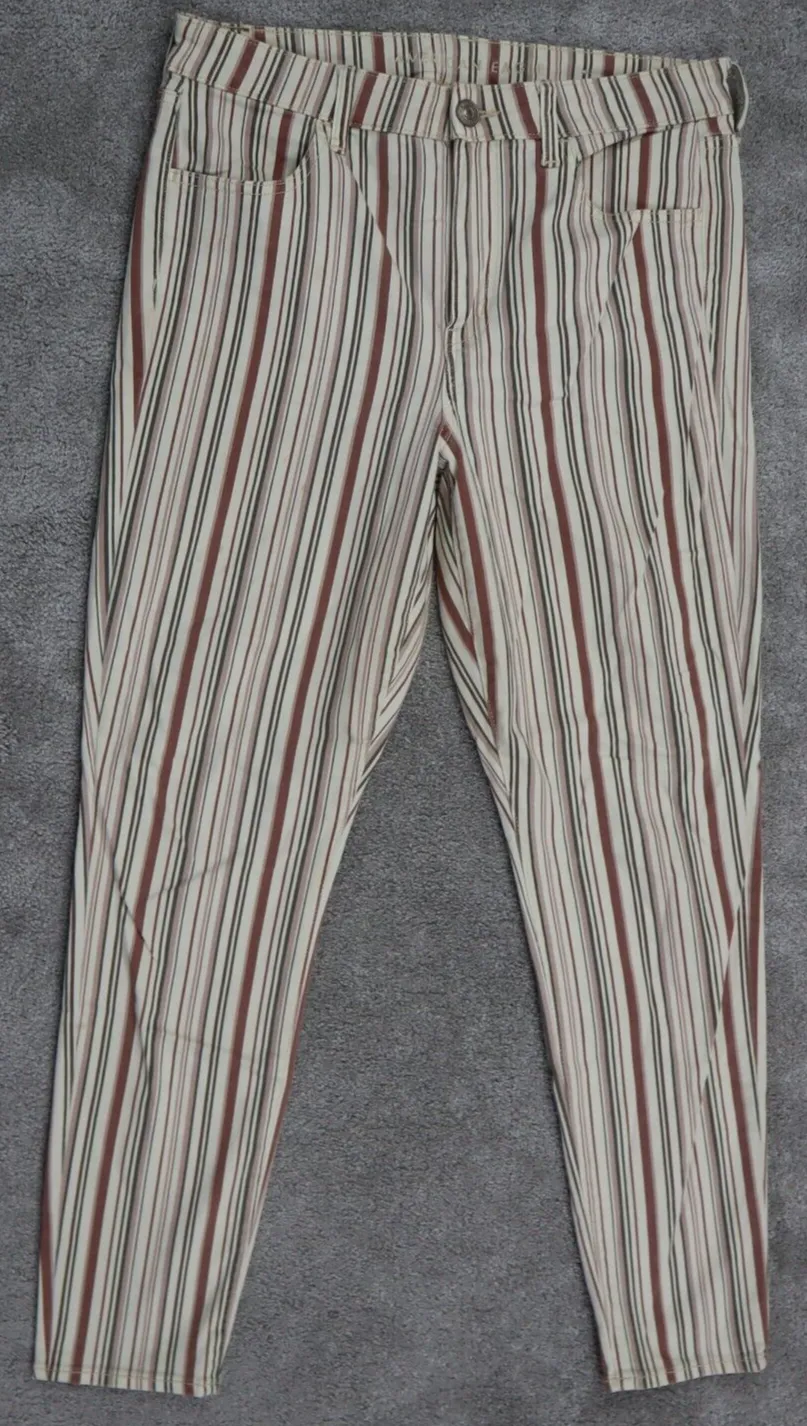 American Eagle Womens Striped Skinny Leg Denim Jeans Mid Rise Multicolor Size 14